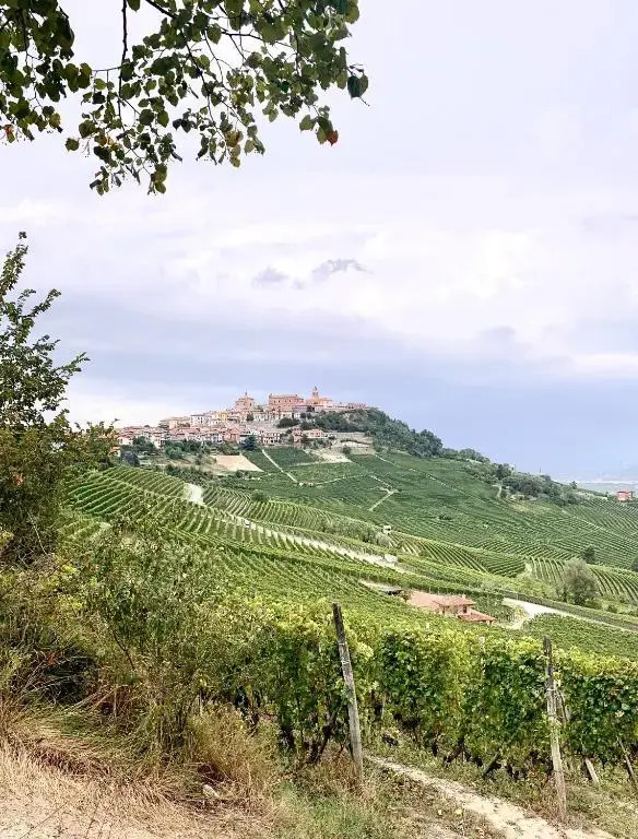 Agricola Domus