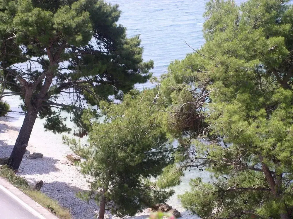 Milica - sea View - A1