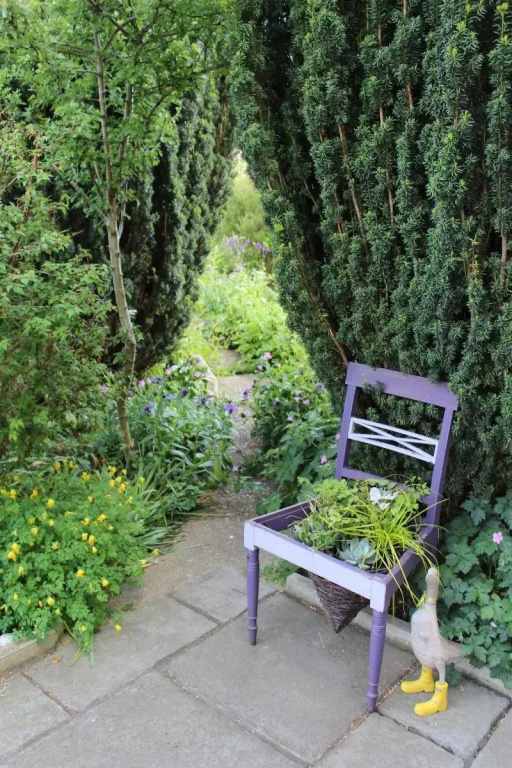The Vine B & B