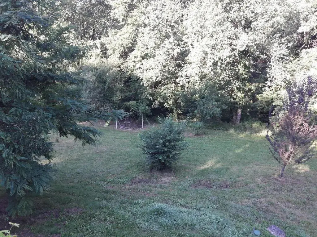 la clairiere