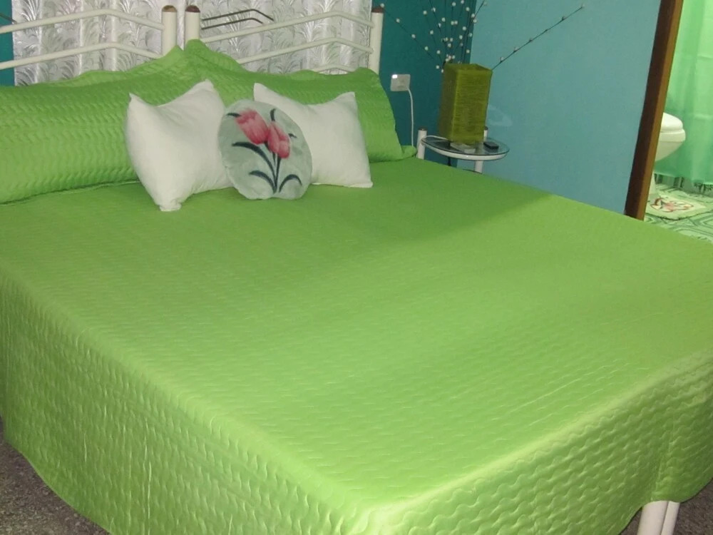 Hostal Sol Palmera