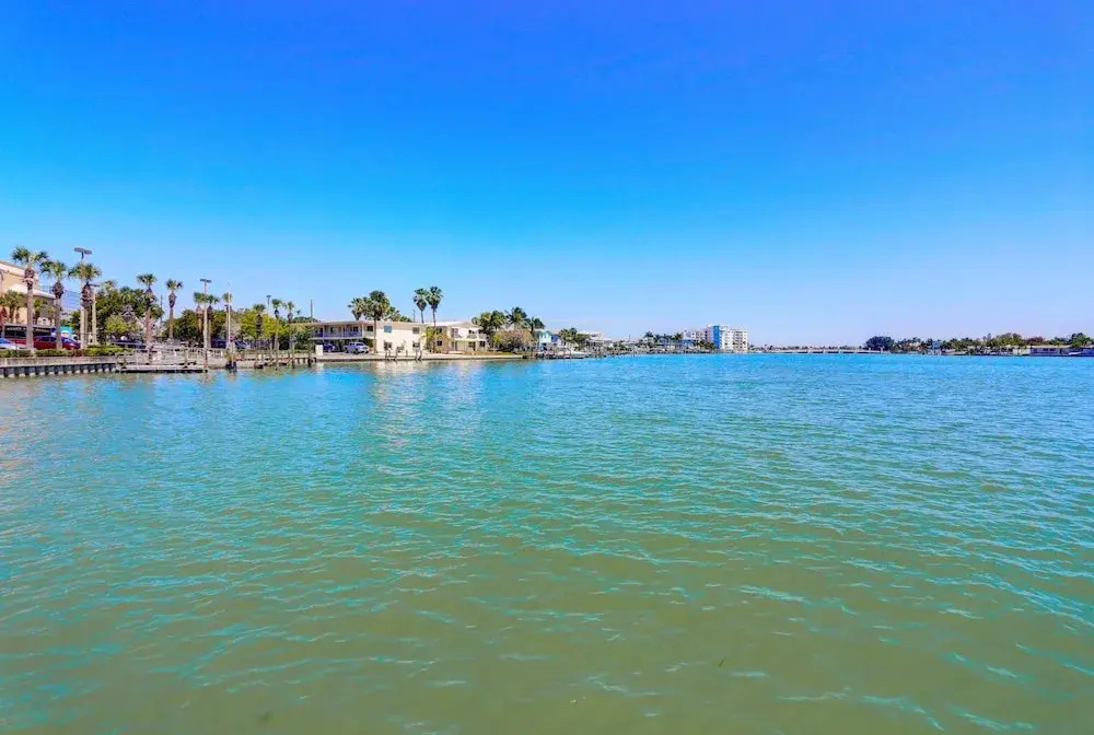 Palms Of Treasure Island #210