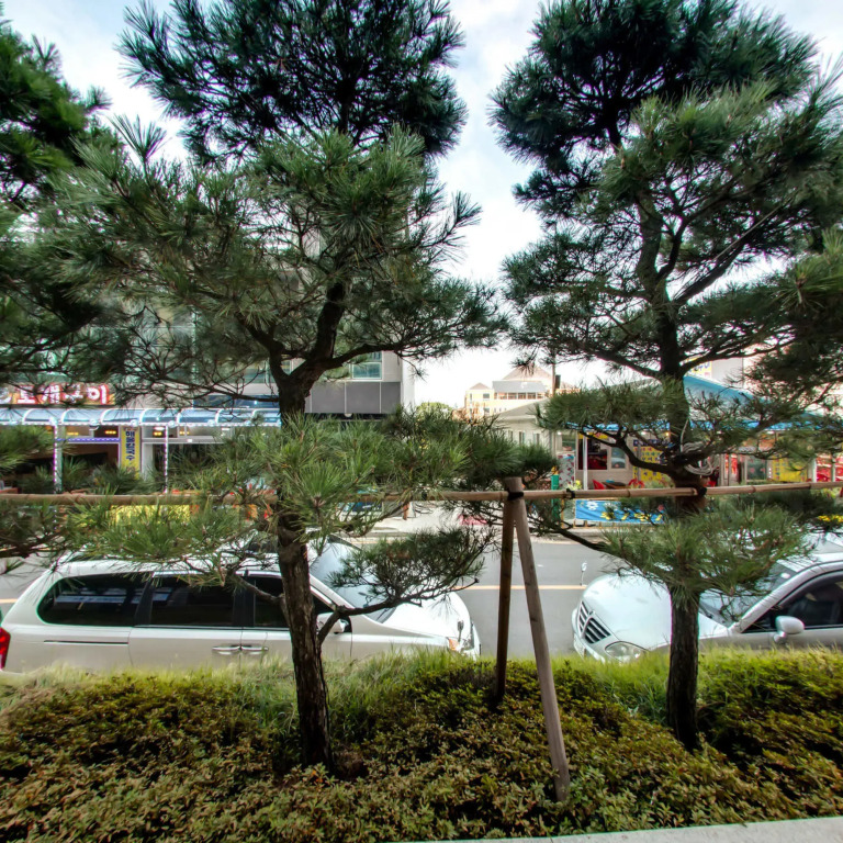 Hotel solaire