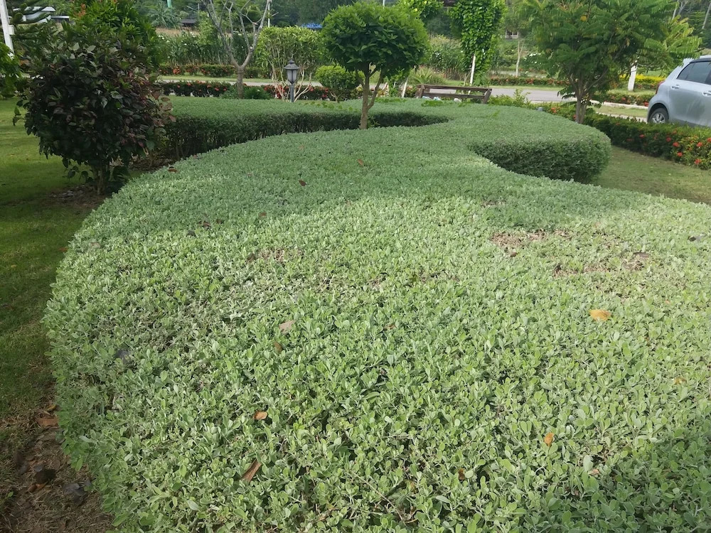 The Homestead Resort Pakchong