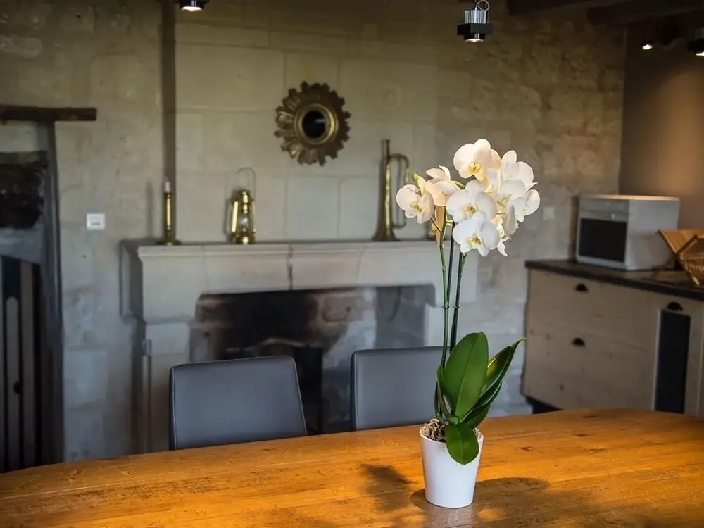 Gîte Les Orchidées de la Loire SAUMUR
