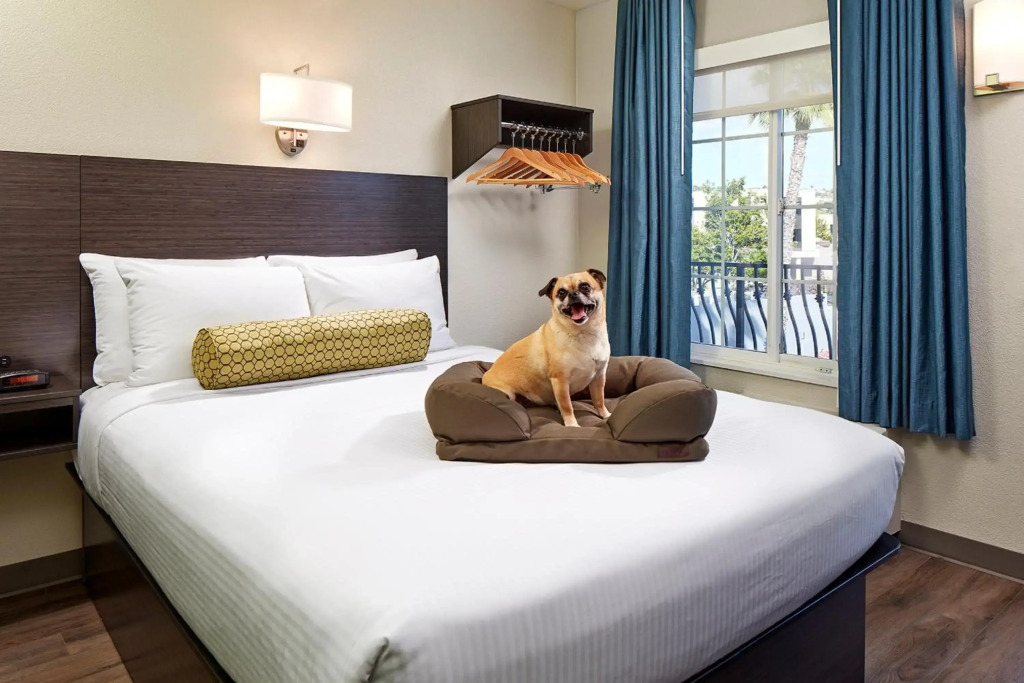 SureStay Hotel by Best Western San Diego Pacific Beach