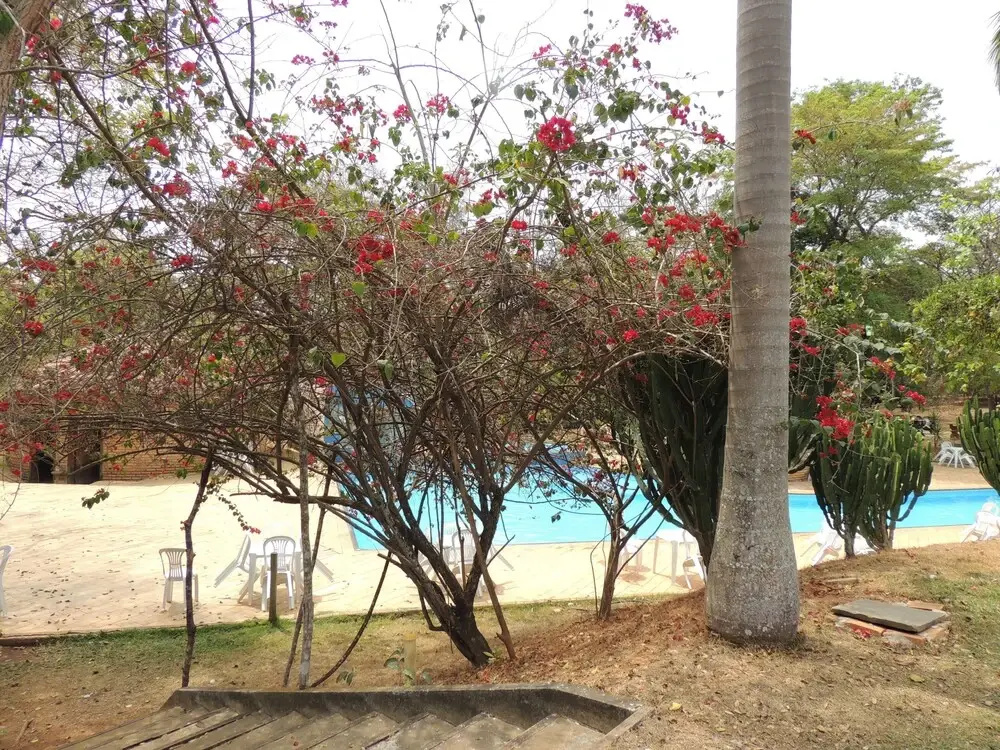 Cep Lago Hotel Ecológico