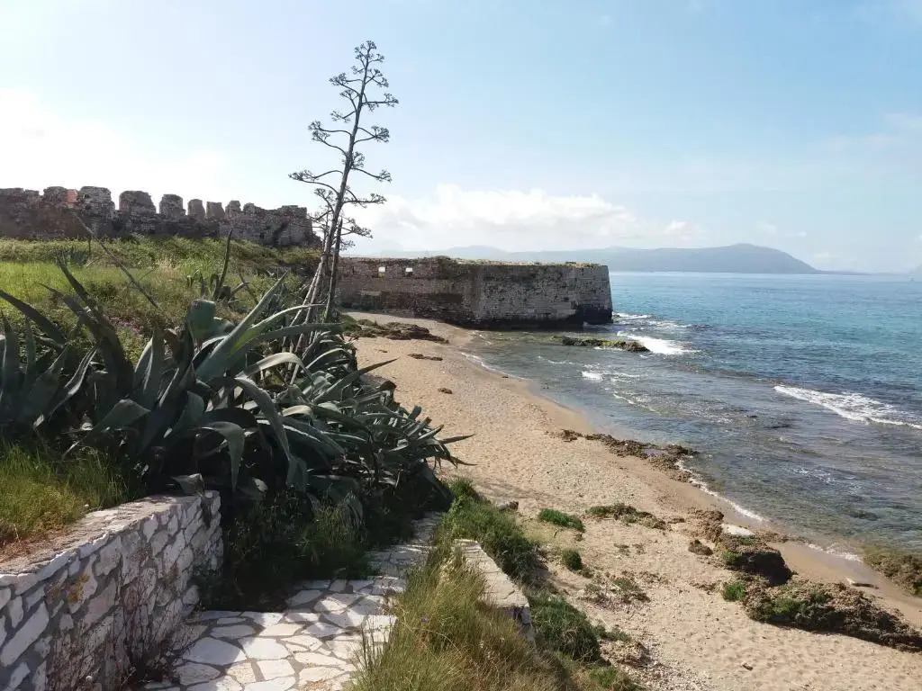 Nestor Sea Studio