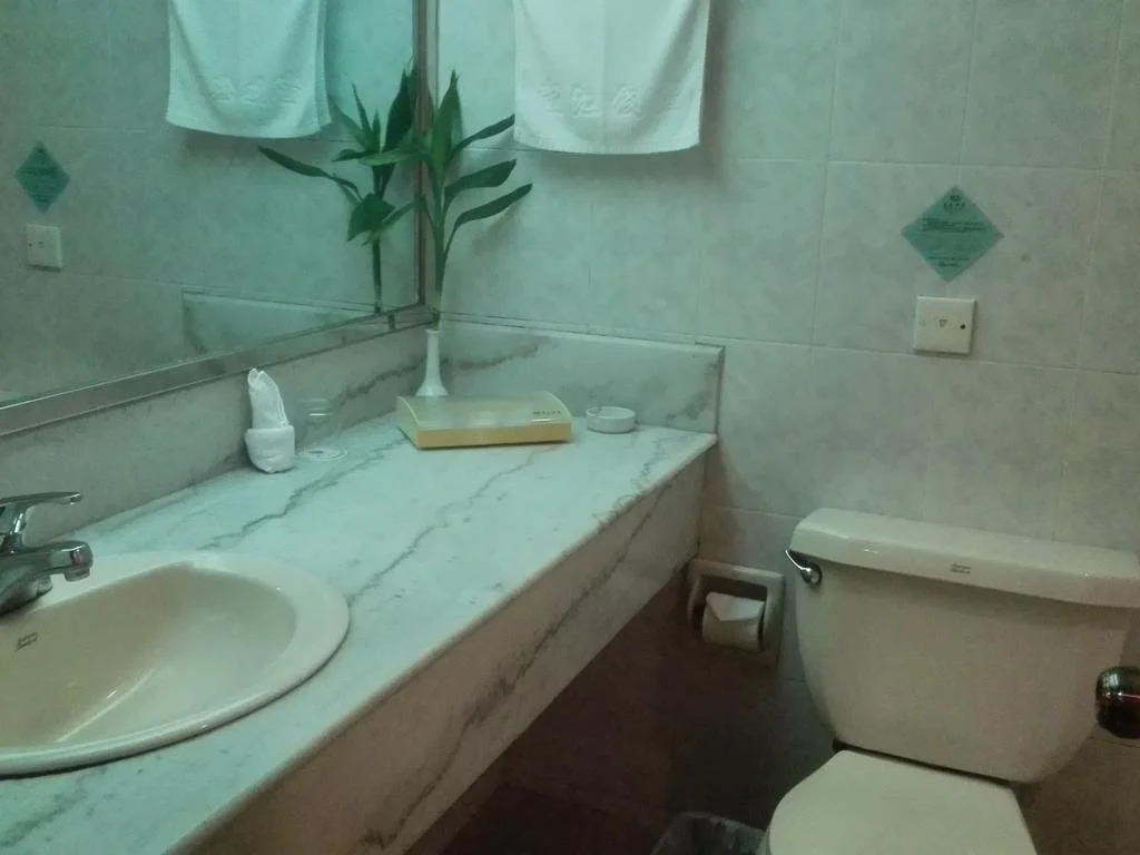 Wangjiang Hotel