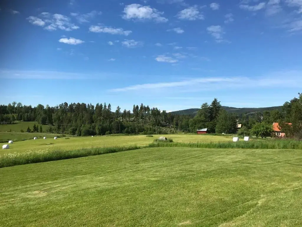 Helsingegården
