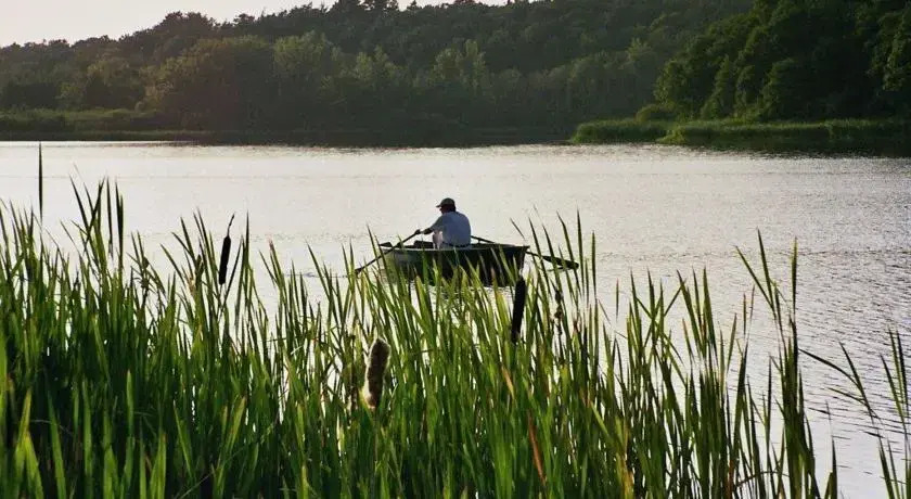Hotel am See Der Redderkrug