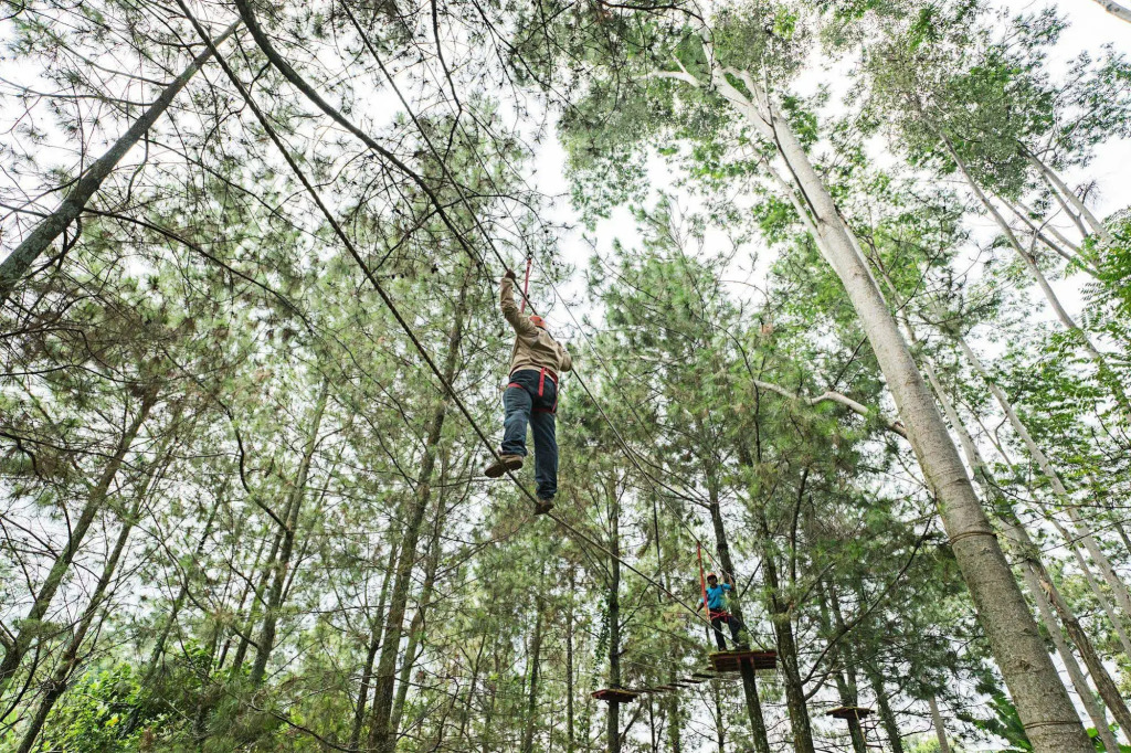Royal Hotel and Outbound Trawas