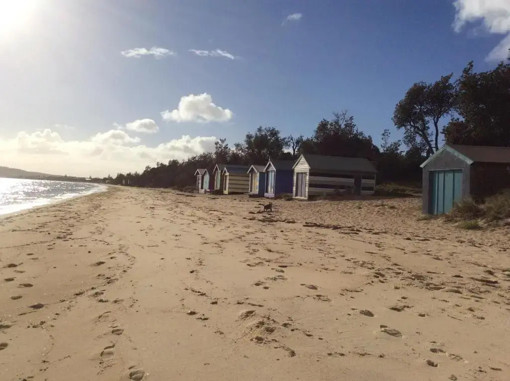 Beach Front Springs