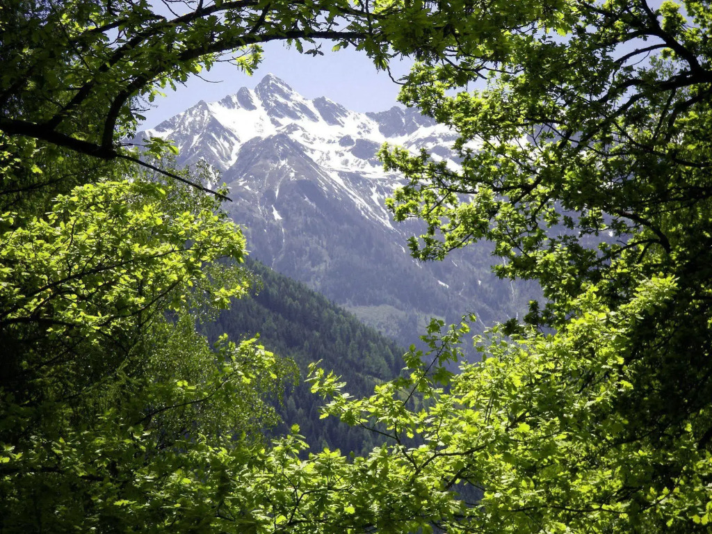 Pension Garni Burgwies ink Nationalpark Sommercard