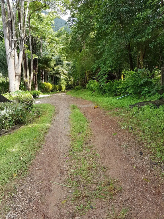 Phanom Bencha Mountain Resort