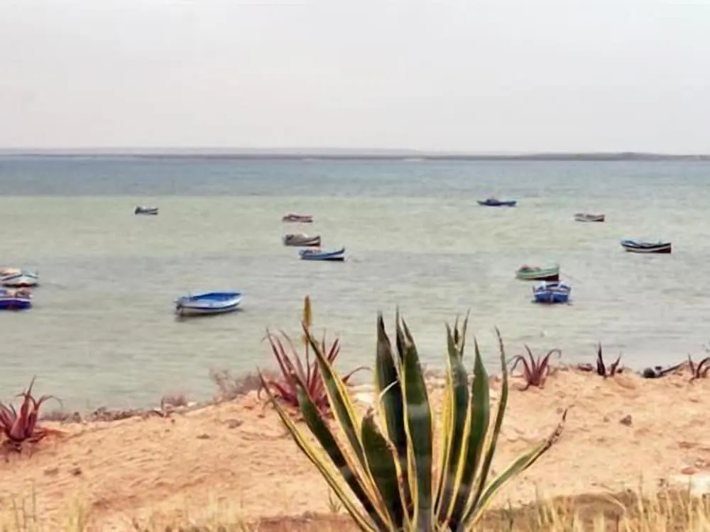 Dar Elbidha