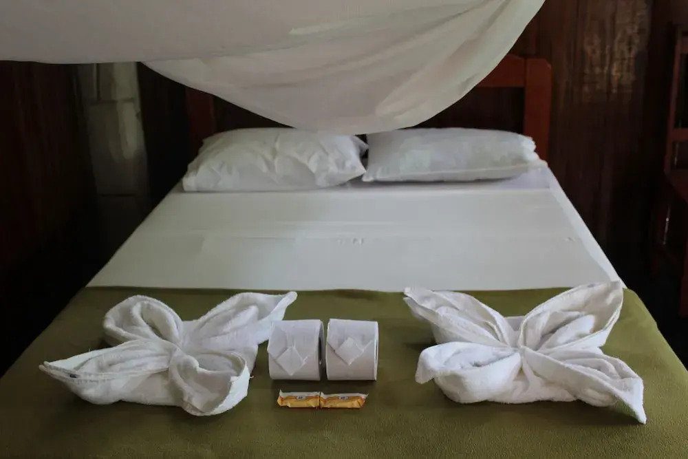 Paradise Amazon Lodge & Adventure