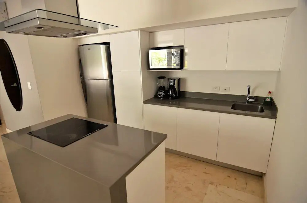 Anah Downtown condo
