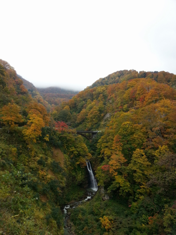 Seki Onsen Yoshinoya Ryokan