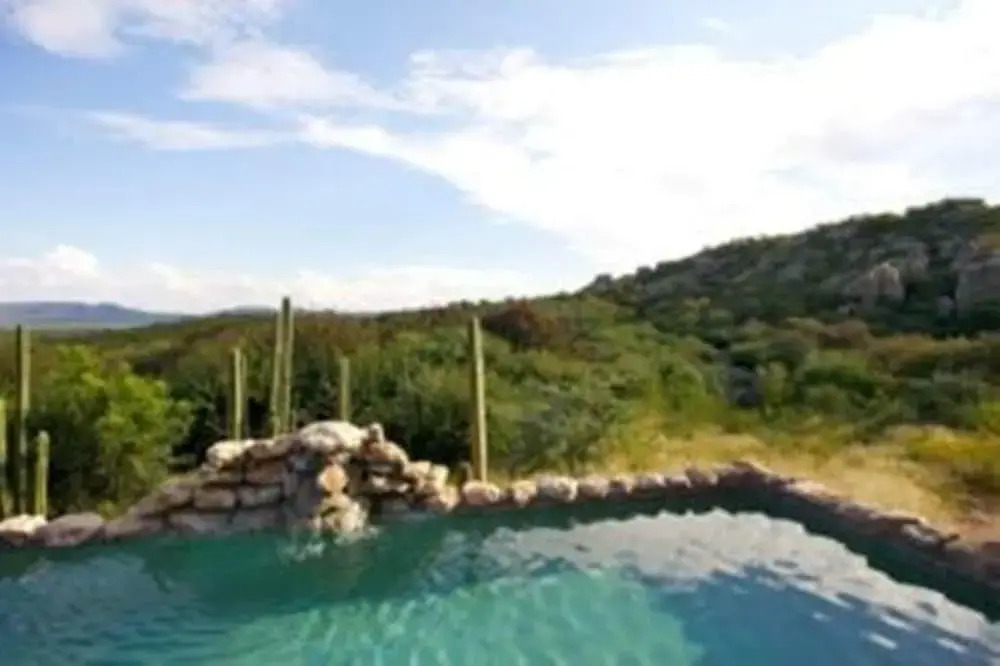 Sasa Safari Camp & Tours