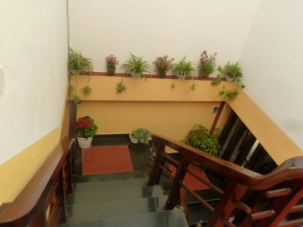 Sapa Global Hotel