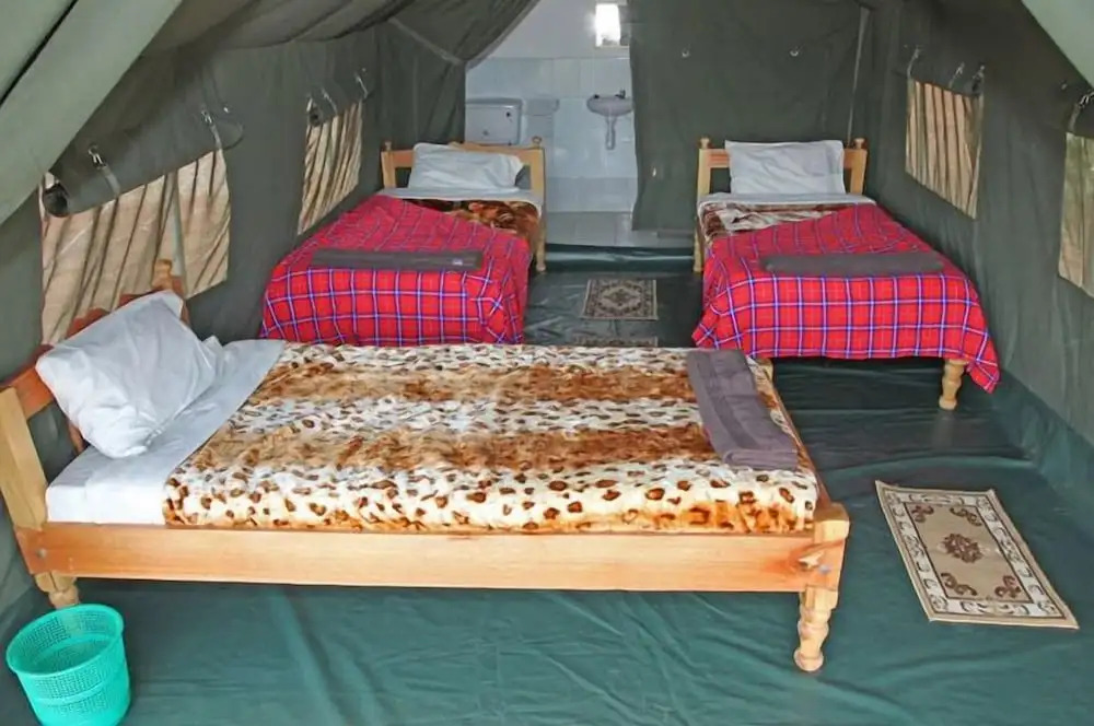 Fisi Camp