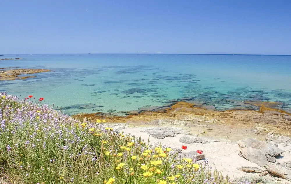 Nice Apartment in Punta Su Turrione With 1 Bedrooms and Outdoor Swimming Pool