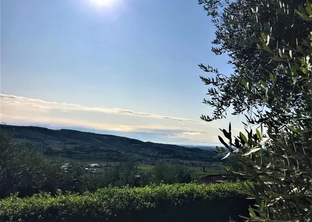 Valpolicella Hills