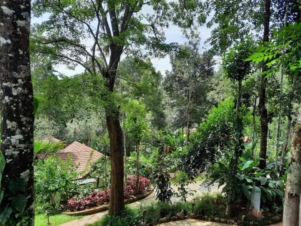 Willow Resorts Wayanad
