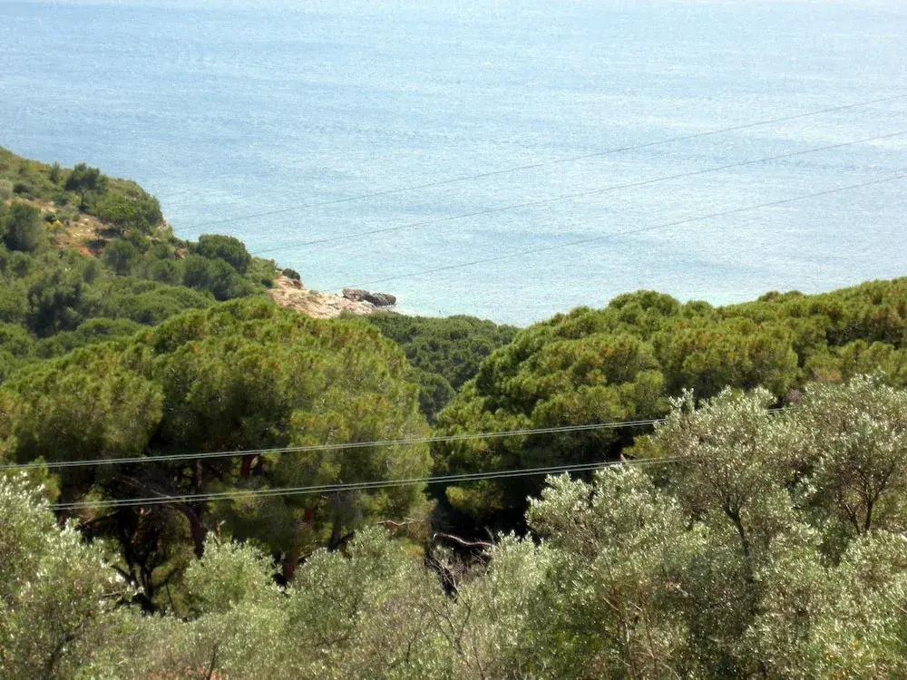 Villa Bartolini