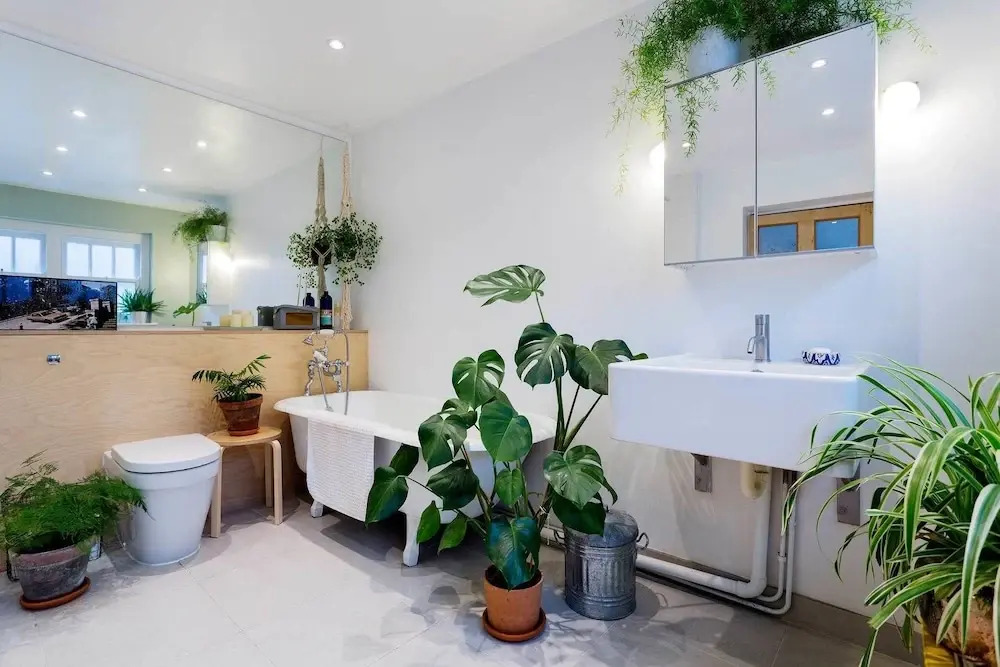 Calm and modern