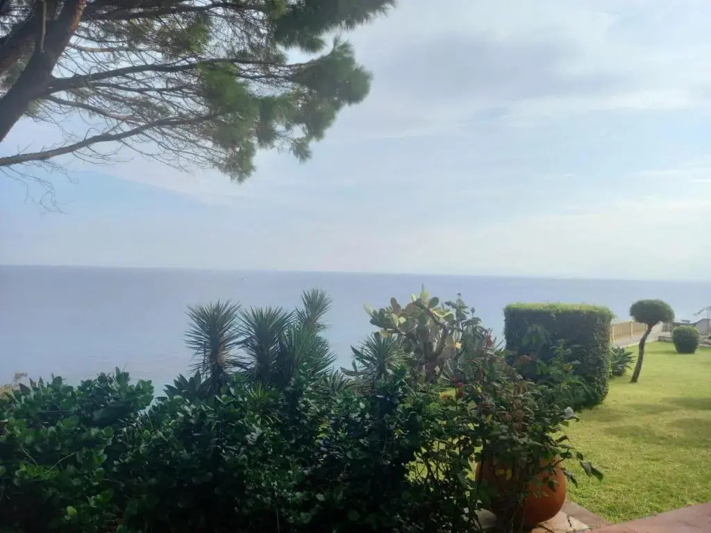 The cliff house