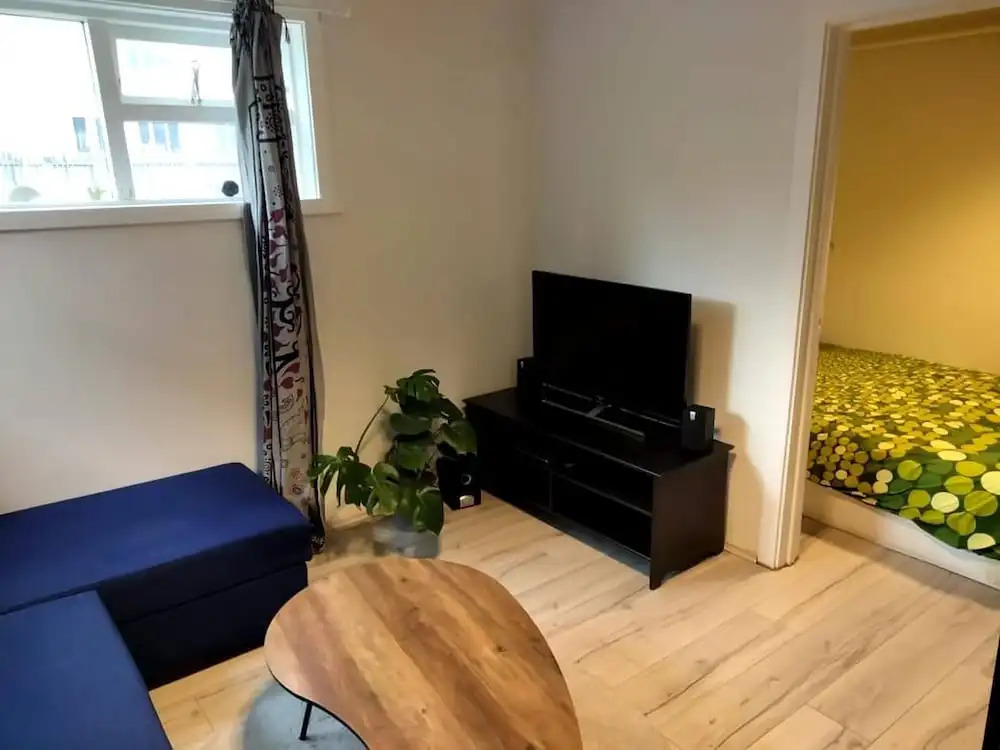 Cozy Apartment Close to Reykjavik Downtown