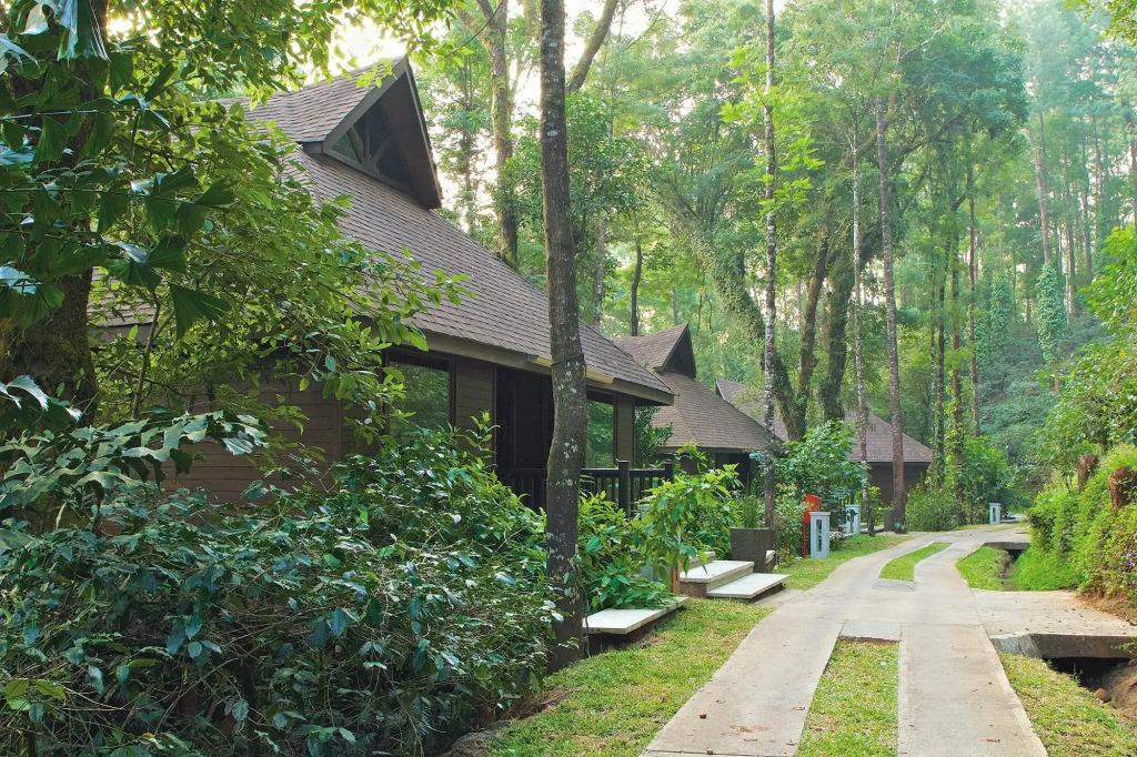 The Tamara Coorg