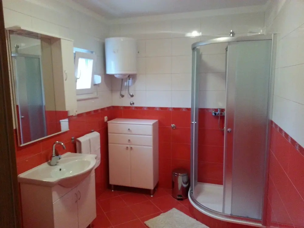 Apartment Branko