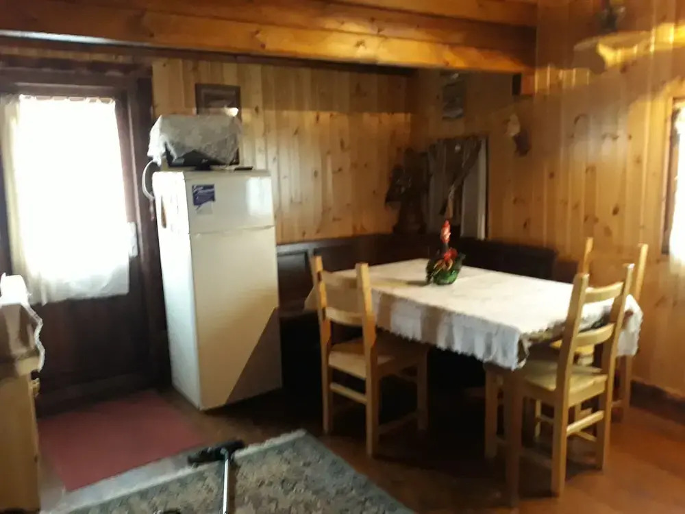 Primi Faggi