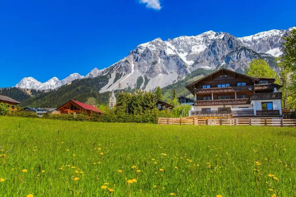 Bergidyll 11 by Alpenidyll Apartments