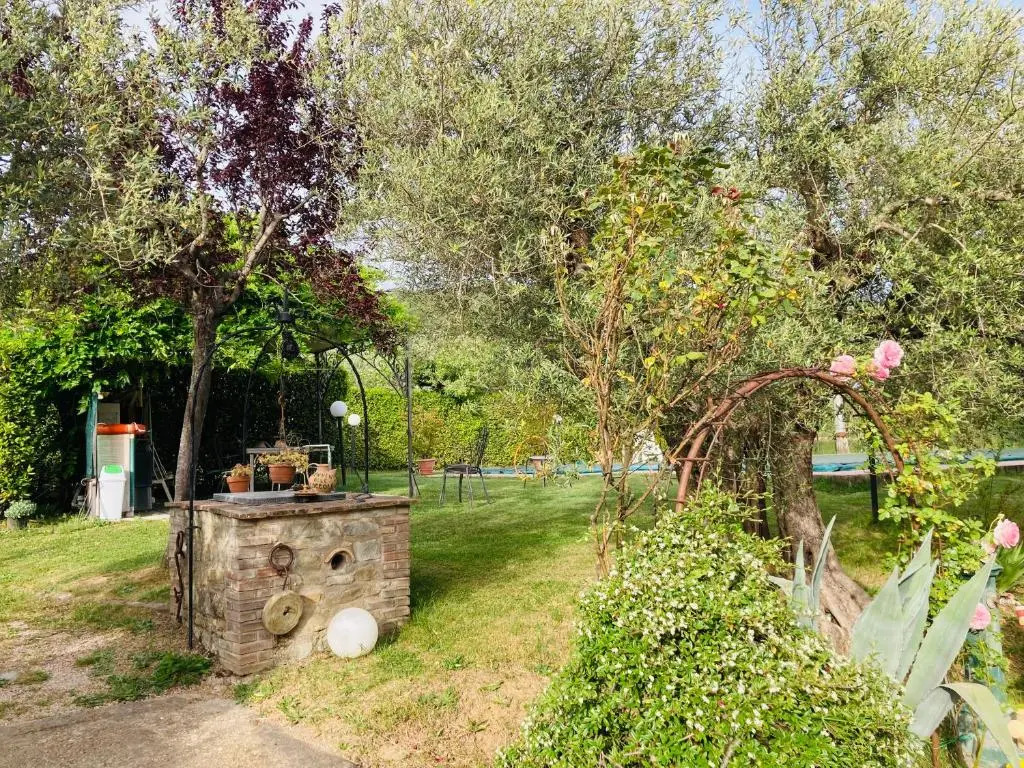 Le Coccole Del Trasimeno