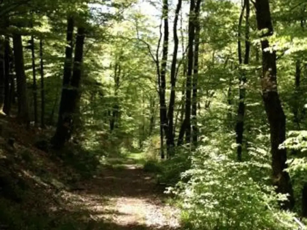 Chalet chaleureux avec sauna, terrain, terrasse et babyfoot à Saint-Nabord - FR-1-589-255