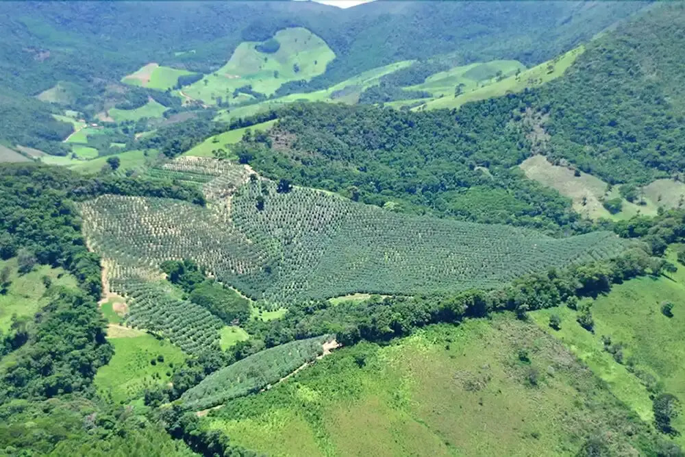 Arte de Santo Antônio