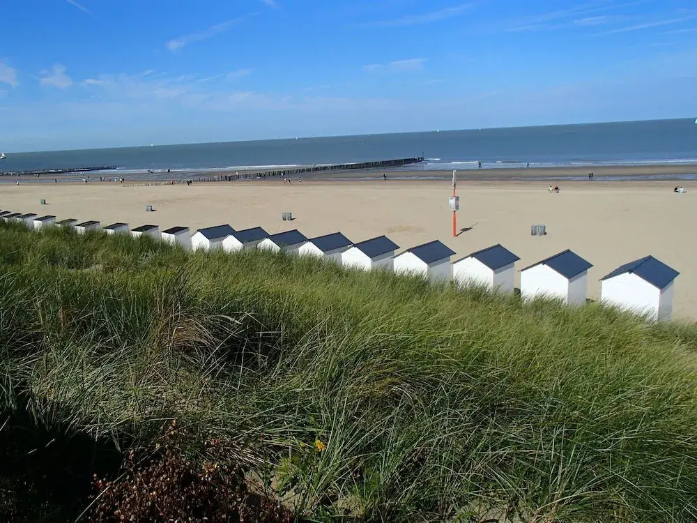 New and Luxury Farmhouse Within Short Distance of the Beach in Cadzand Bad