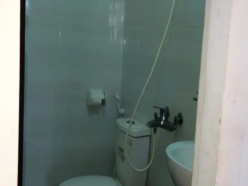 Dang Viet hotel