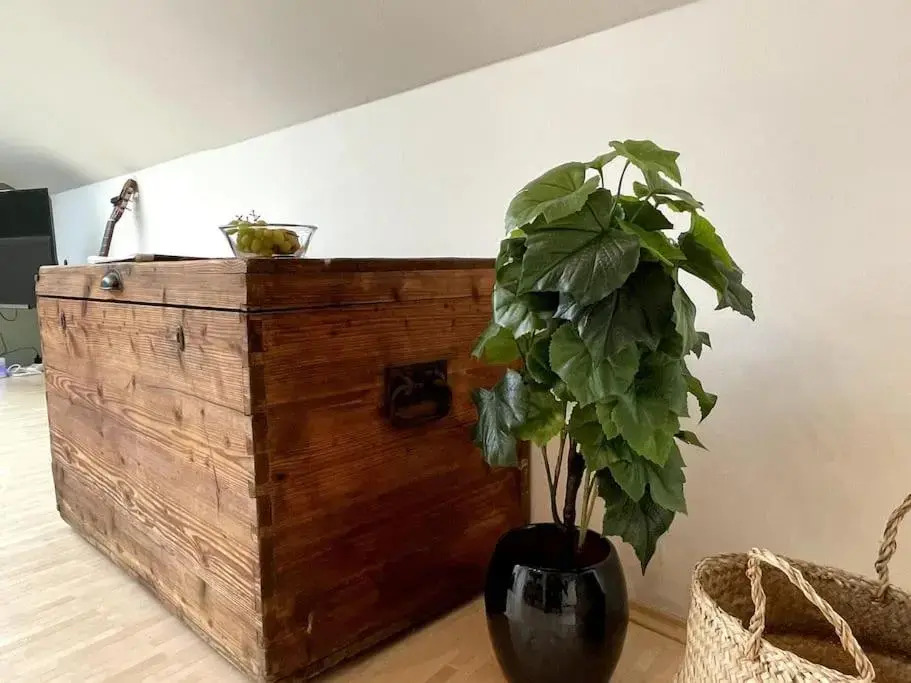 Stilvolles Apartment in zentraler Lage