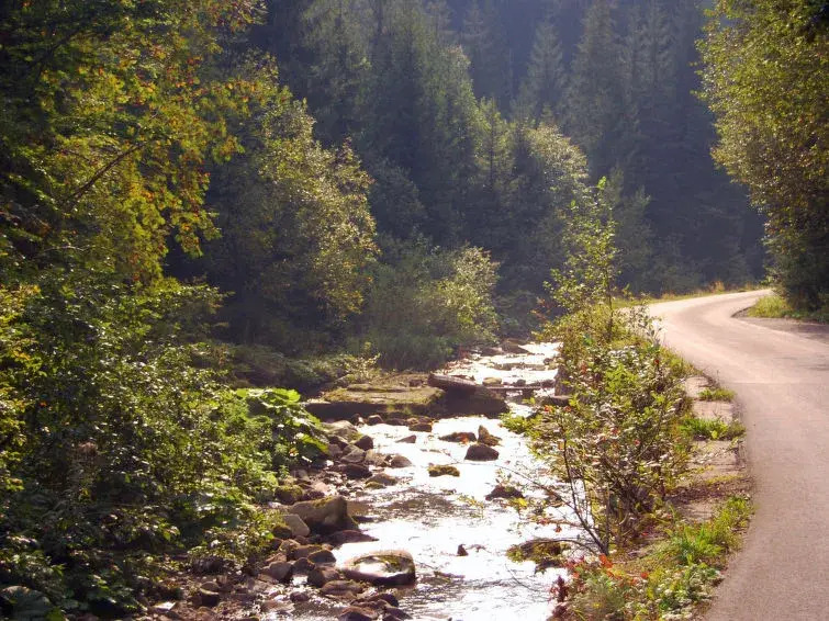 Na Jeleniej