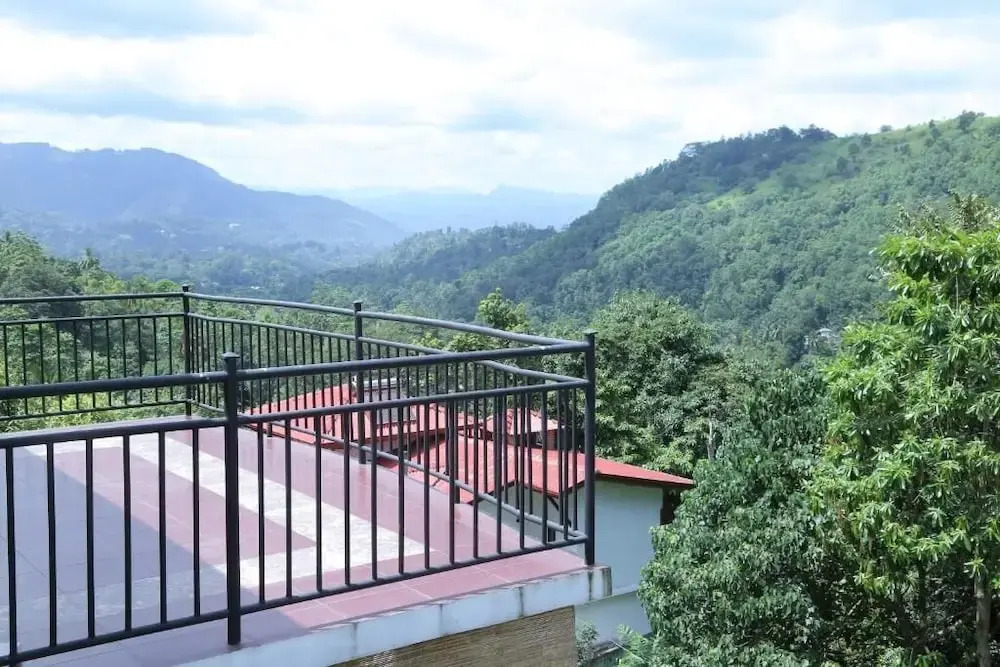 The Springfields Kandy