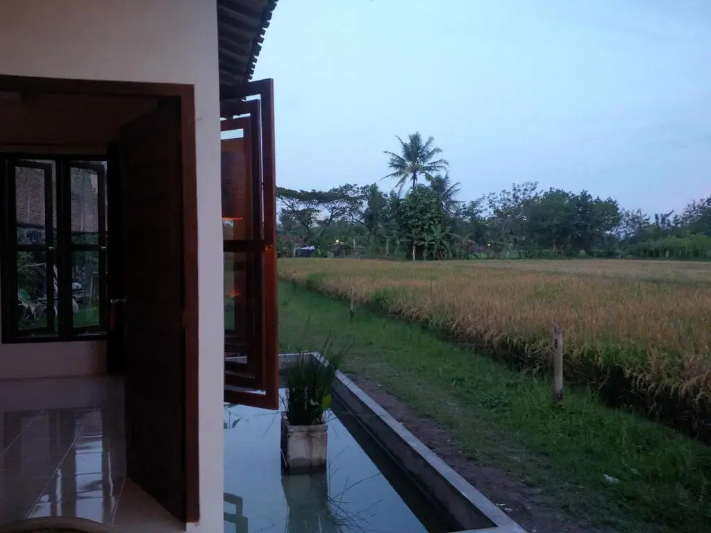 Rosella Cottages - Homestay - Yogyakarta