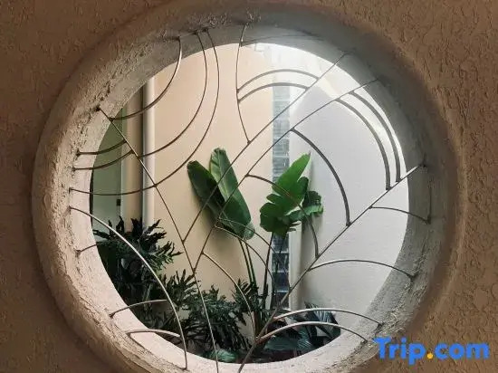 MOONLIGHT Homestay & Hotel