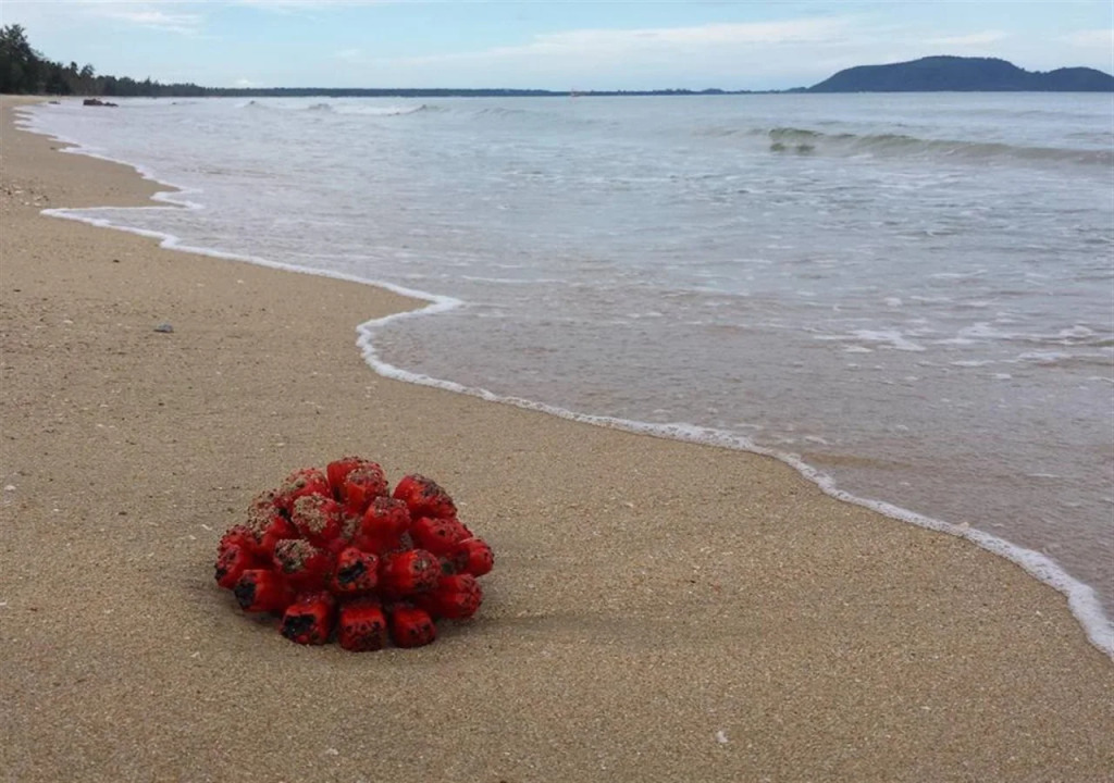 AtMyHomeStay Bangsaphan