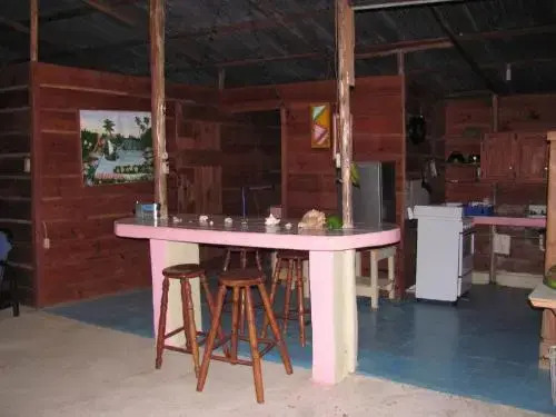 SunCampDR