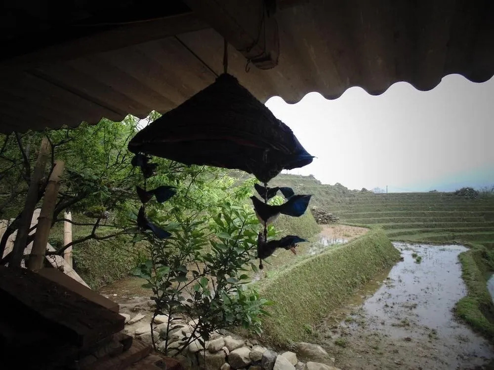 Hmong Sister House and Trekking